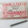 23019-021 NOS Kawasaki Headlight Adjusting Screw