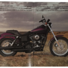 Harley Davidson Model Year 2000 Sales Brochure - Image 2
