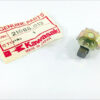 21088-013 NOS Kawasaki H1 500 Ignition Brushes