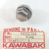 92066-066 NOS Kawasaki Crank Case Plug